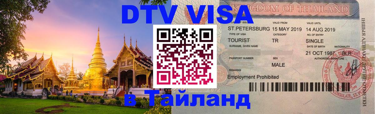 Оформление DTV визы под ключ: стоимость и тарифы, только загранпаспорт - Ереван  10.01.2026 